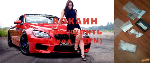 индика Зеленокумск