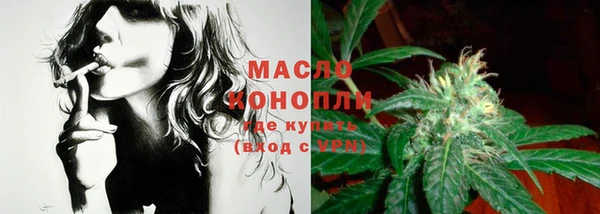индика Зеленокумск