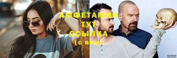 индика Зеленокумск