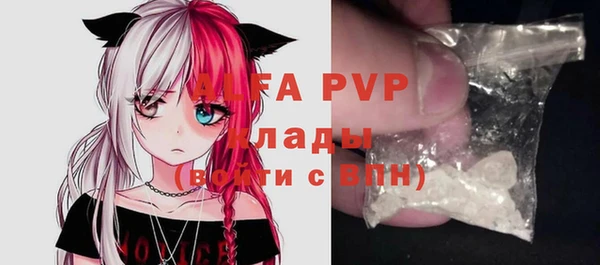 индика Зеленокумск