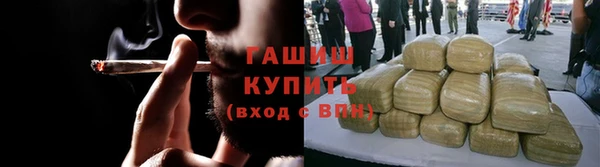 индика Зеленокумск