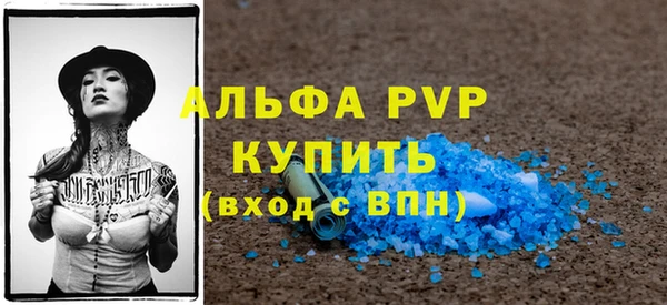индика Зеленокумск