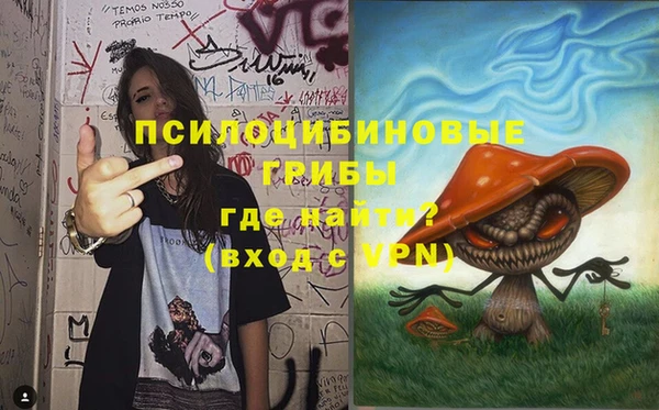 индика Зеленокумск