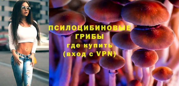 молекула духа Инсар