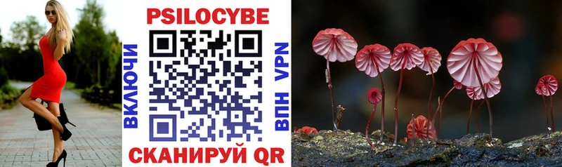 Купить  Ижевск  Псилоцибиновые грибы Psilocybe 